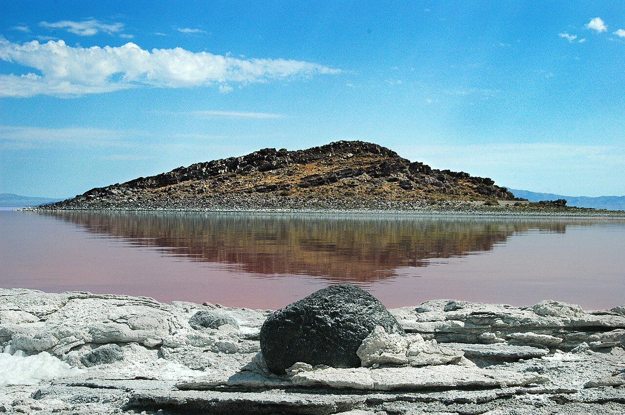 O mistério das estranhas ilhas vivas do Grande Lago Salgado foi finalmente resolvido