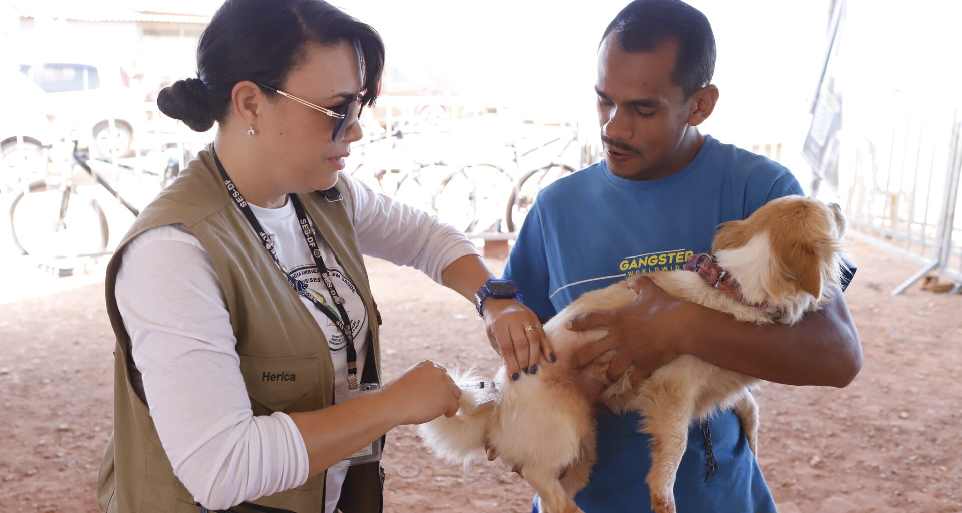 Sábado é dia de vacinar cães e gatos contra a raiva