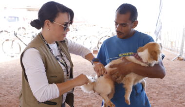 Sábado é dia de vacinar cães e gatos contra a raiva