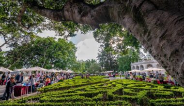 Festa do Livro em Belém