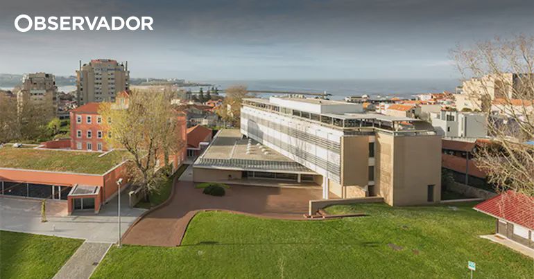 Porto. Estudante da Católica com lesões graves após agressão – Observador