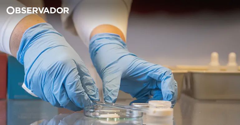 Médicos descobrem terapia para retardar doença de Huntington – Observador