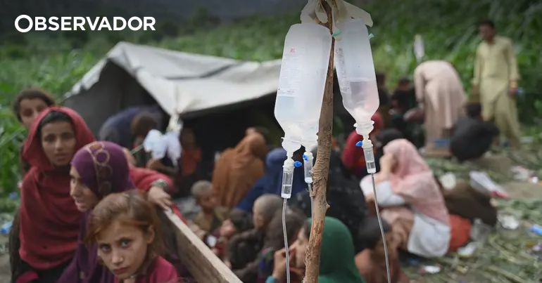 Mulheres afegãs feridas "invísiveis" na resposta ao sismo – Observador