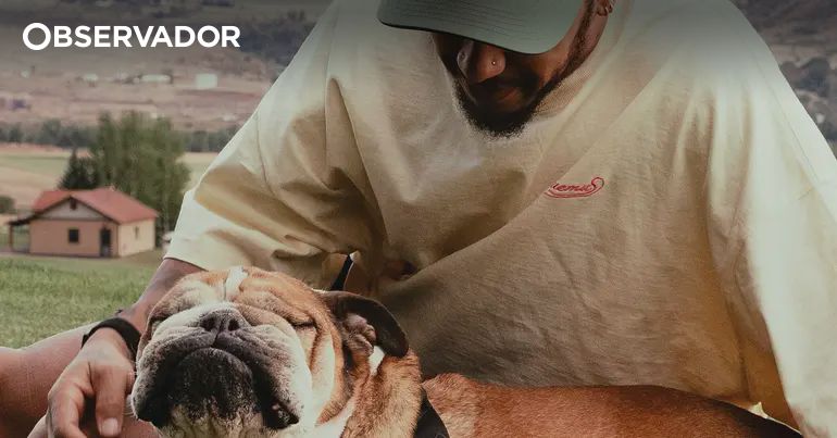 Morreu Roscoe, o famoso cão de Lewis Hamilton – Observador