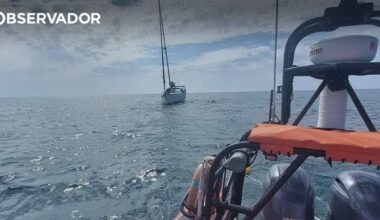 Ataque de orcas em Peniche deixou veleiro francês sem leme – Observador