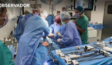 Homem que recebeu transplante de rim de porco recupera bem – Observador