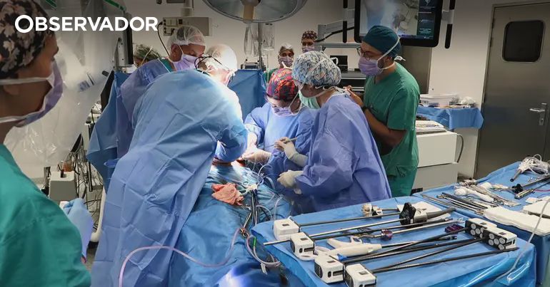 Homem que recebeu transplante de rim de porco recupera bem – Observador