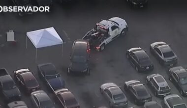 Cadáver encontrado em Tesla do cantor norte-americano D4vd – Observador