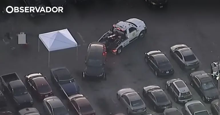 Cadáver encontrado em Tesla do cantor norte-americano D4vd – Observador