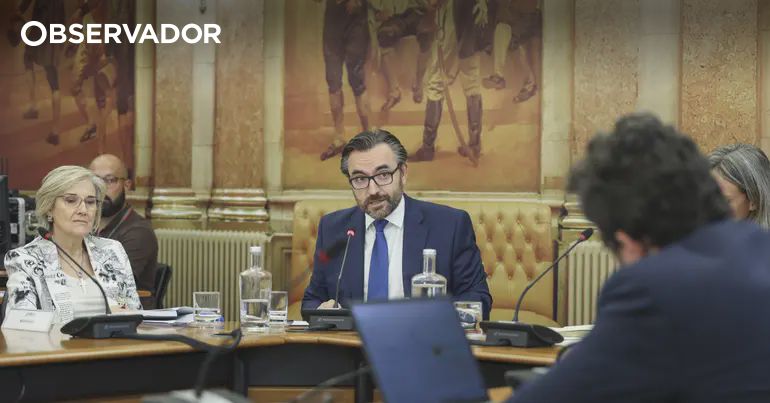 IRN prevê aumento de pedidos de nacionalidade – Observador