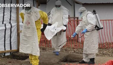 Angola intensifica medidas face ao vírus ébola – Observador