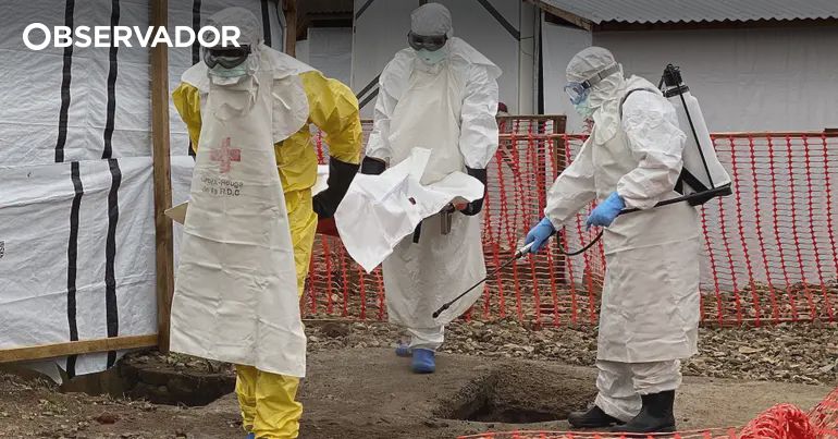 Angola intensifica medidas face ao vírus ébola – Observador