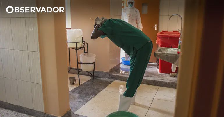 União Africana mobiliza equipas para conter surto de ébola – Observador