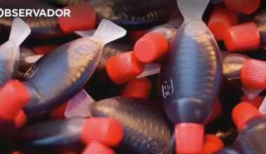 Austrália proíbe icónicas embalagens de molho de soja – Observador
