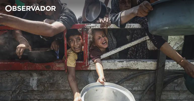 ONU declara que Israel está a cometer genocídio em Gaza – Observador