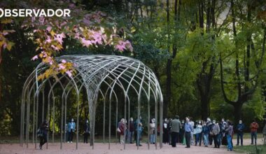 Botânico reúne em livro 100 plantas da obra de Camões – Observador
