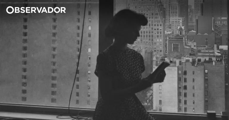 Estes 35 livros vão chegar até ao final do ano – Observador