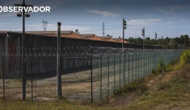 "Só não saiu toda a gente porque não quis" – Observador