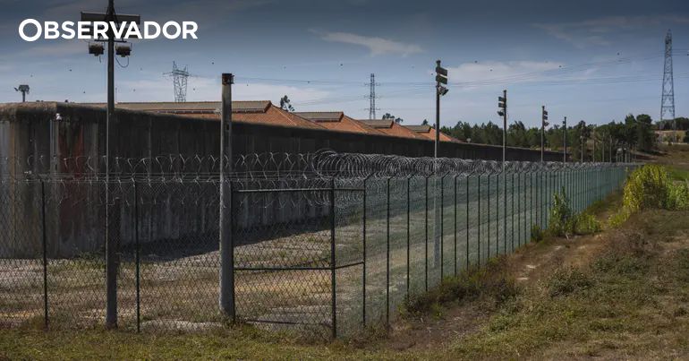"Só não saiu toda a gente porque não quis" – Observador