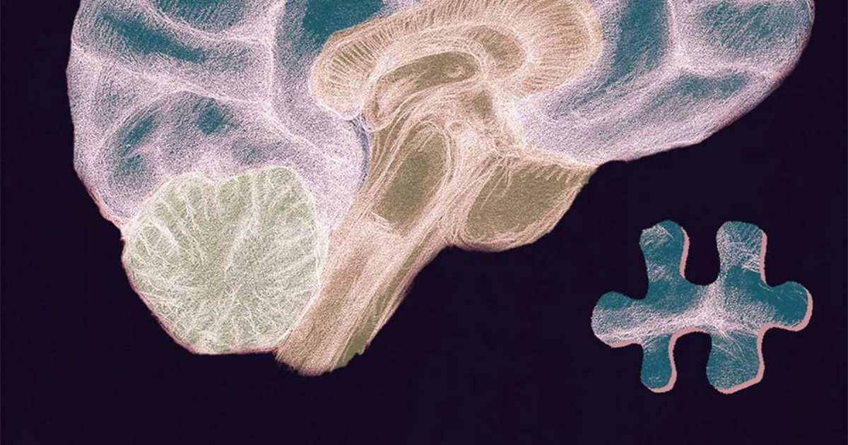 6 estratégias – cientificamente comprovadas – para melhorar a memória