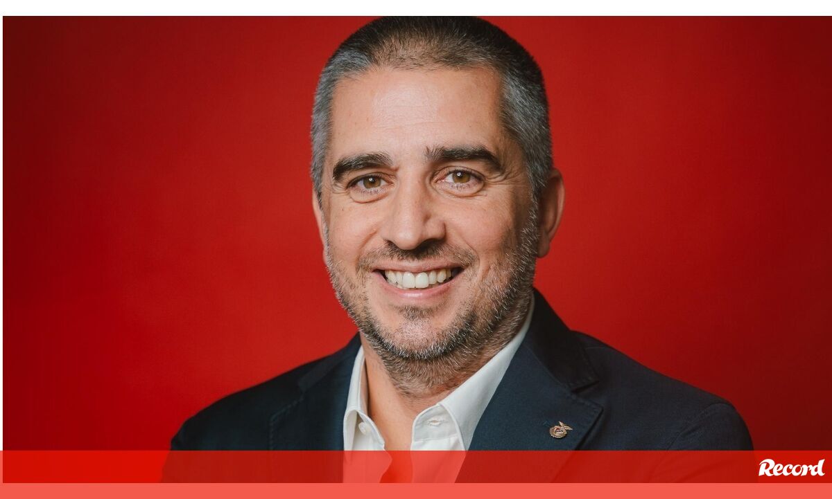 Felipe Gomes é a escolha de Noronha Lopes para vice-presidente para as Modalidades - Benfica