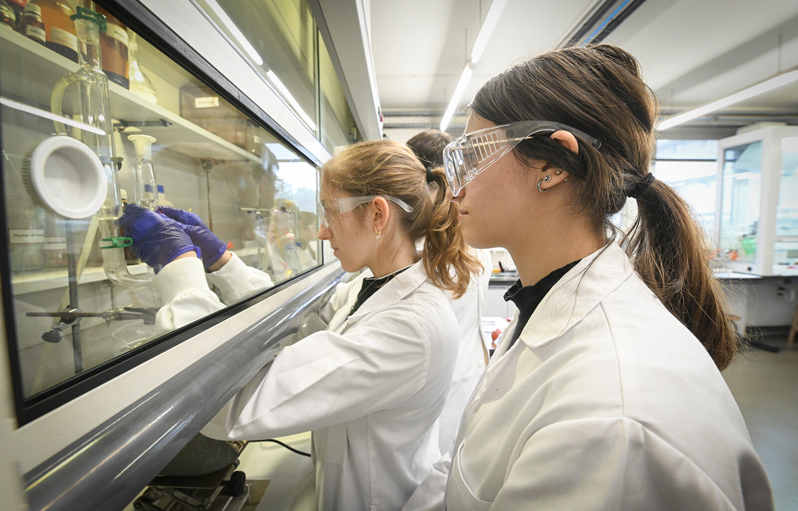 U.Porto tem 205 dos cientistas mais citados do mundo em 2024