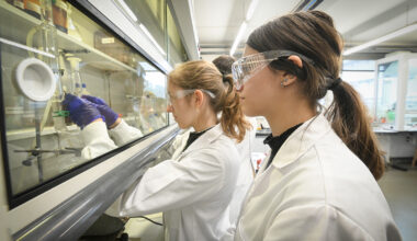 U.Porto tem 205 dos cientistas mais citados do mundo em 2024
