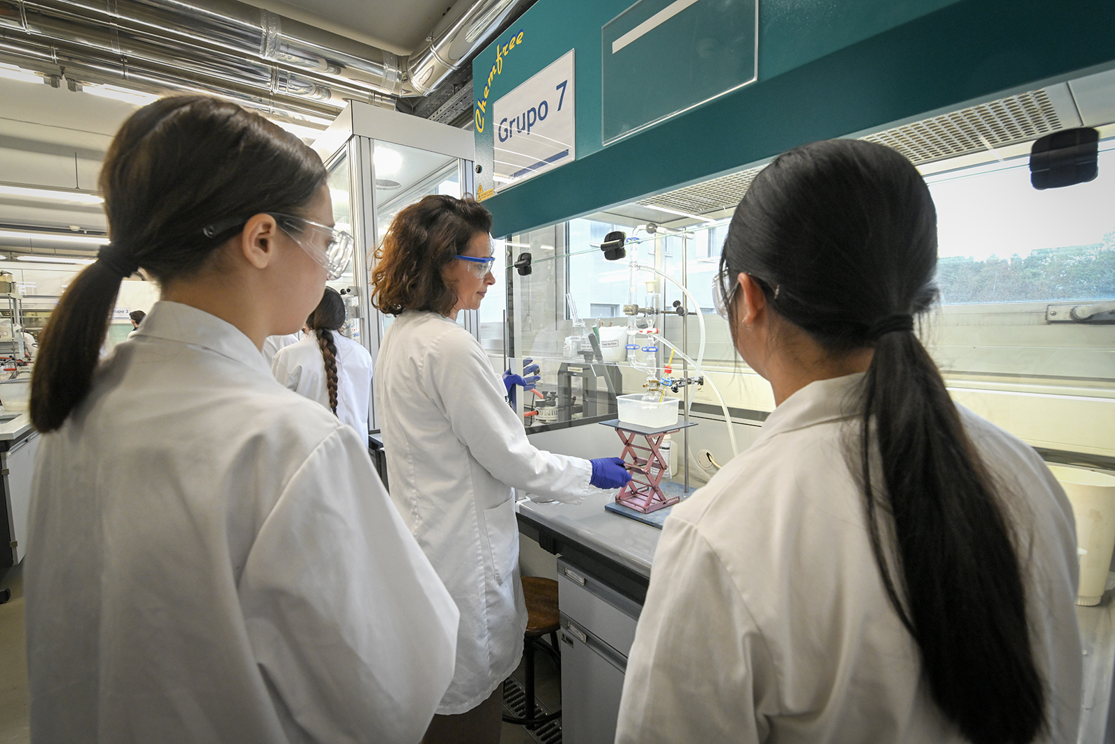 Há 205 cientistas da U.Porto entre os mais citados do mundo em 2024
