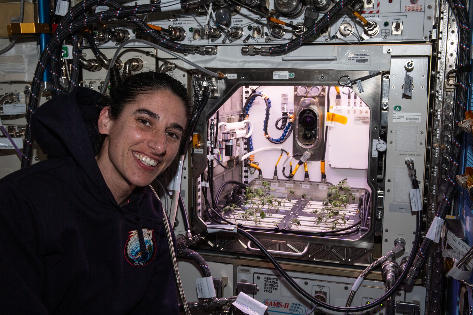 A astronauta Jasmin Moghbeli posa em frente ao 'Advanced Plant Habitat', a maior instalação de pesquisa de crescimento de plantas — Foto: NASA/Divulgação