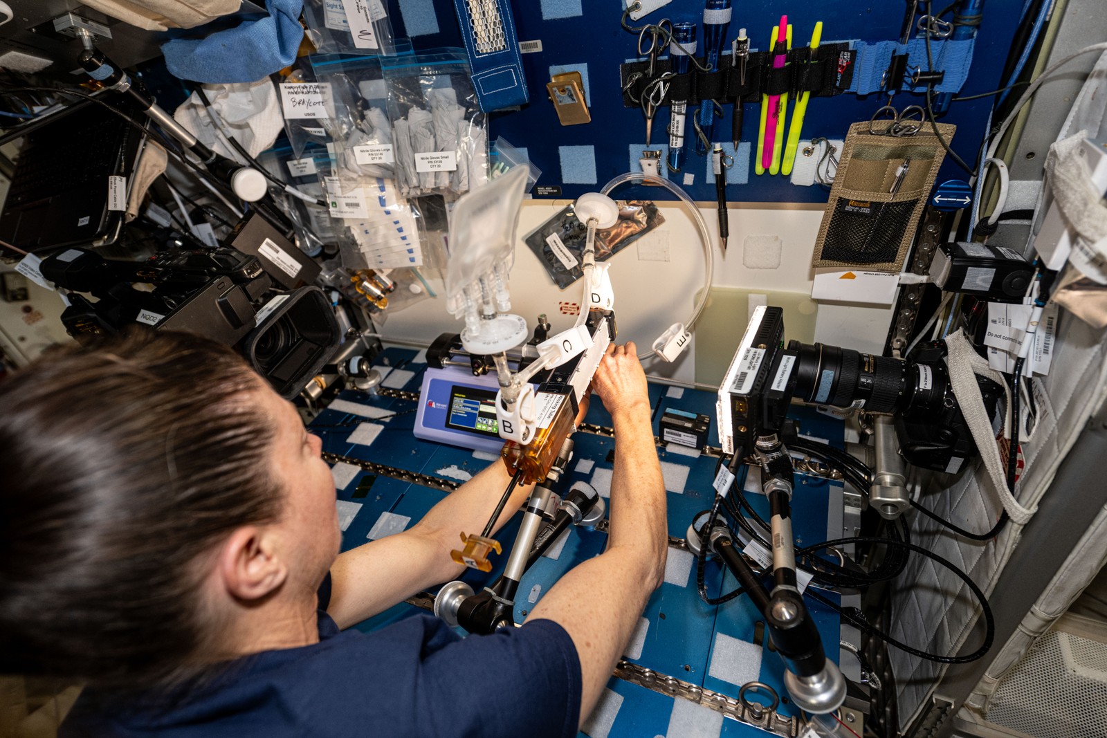A astronauta Tracy Dyson trabalha no Gaucho Lung, que estuda a administração de medicamentos no sistema respiratório — Foto: NASA/Divulgação