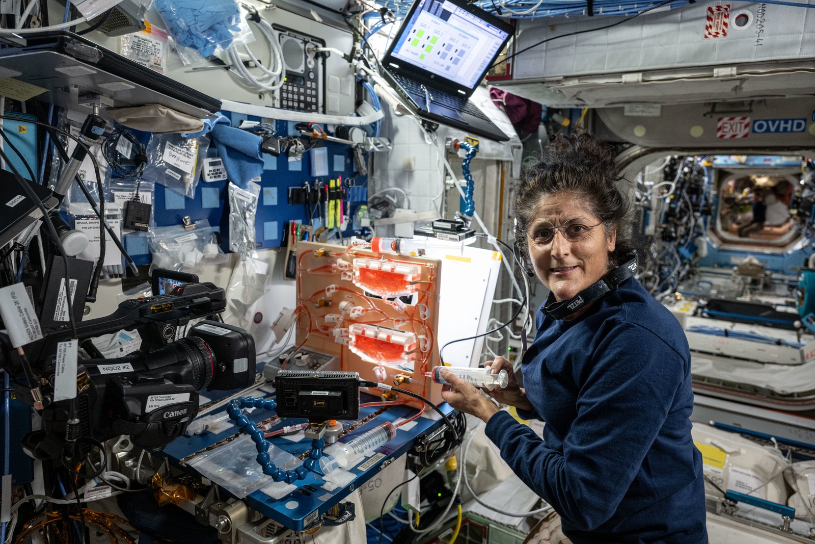 Astronauta Suni Williams estuda irrigação de plantas no espaço — Foto: NASA/Divulgação