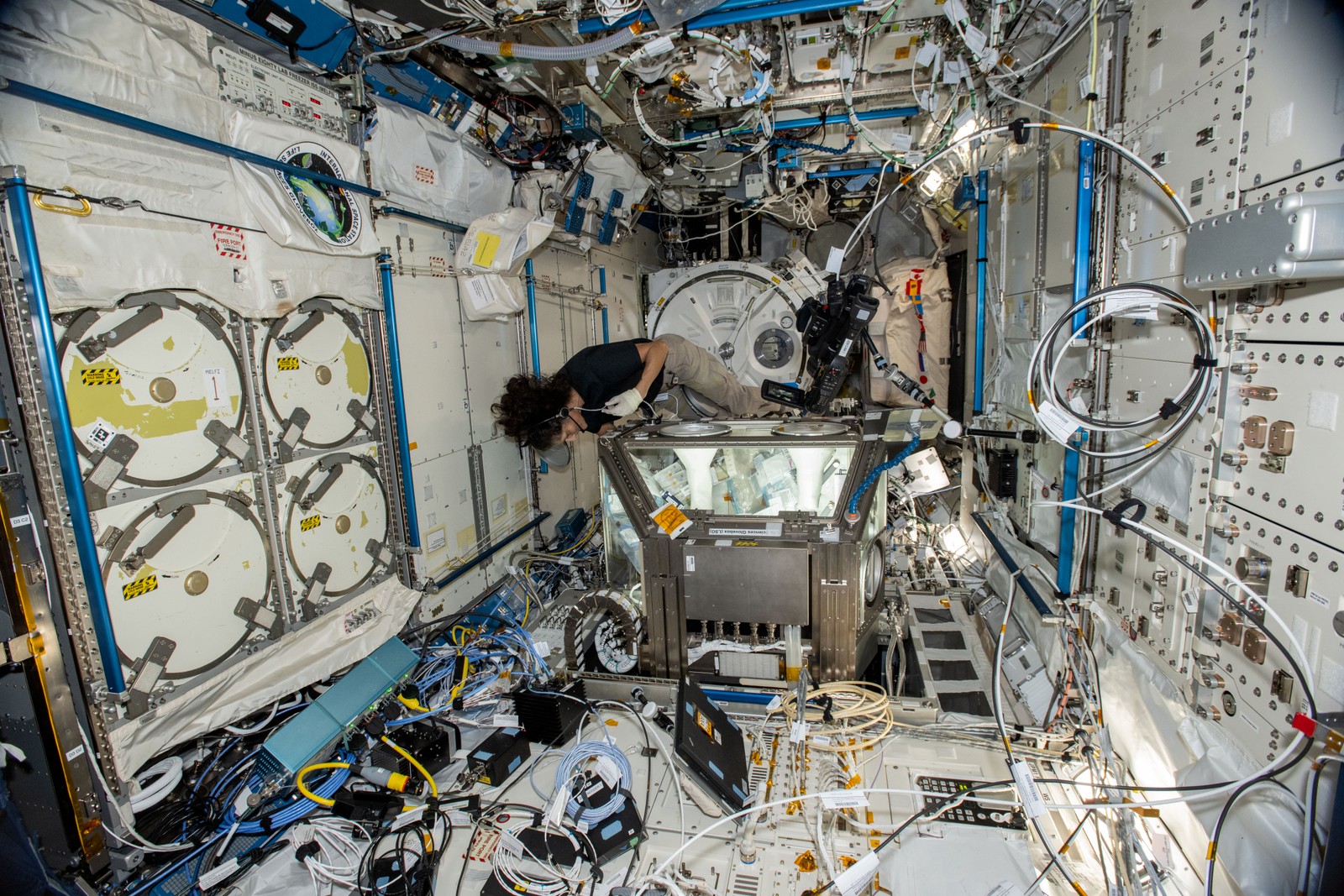 Suni Williams no StemCellEX-H1, uma tecnologia para produção no espaço de células-tronco humanas que são usadas como terapias para doenças do sangue e cânceres — Foto: NASA/Divulgação