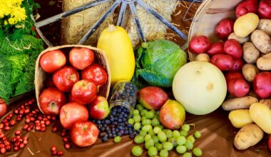como alimentação impacta depressão e ansiedade