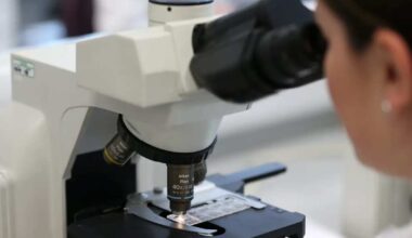 Cientistas apresentam o “ChatGPT da saúde”, um modelo de IA para prever o risco de doenças