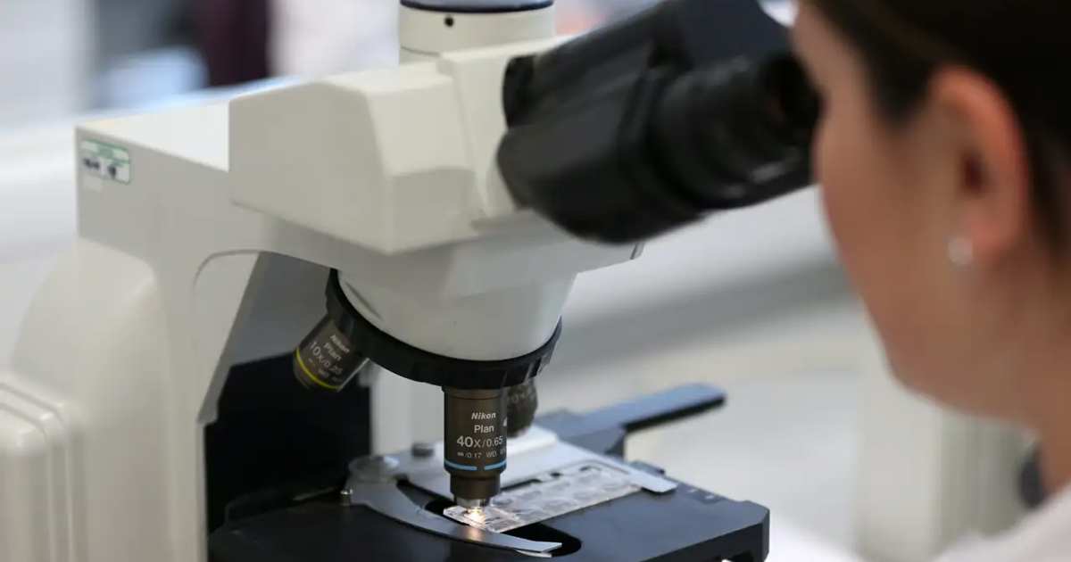 Cientistas apresentam o “ChatGPT da saúde”, um modelo de IA para prever o risco de doenças