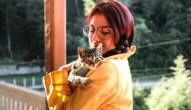 Seu gato está diferente? Veja os 8 sinais que podem indicar demência felina