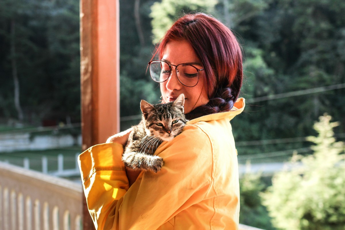 Seu gato está diferente? Veja os 8 sinais que podem indicar demência felina
