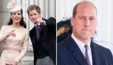 Príncipe Harry vê Kate Middleton como 'ponte' para fazer as pazes com Charles e William — mas há um problemão | Celebridades