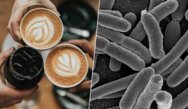 Sabíamos que o café fazia bem à saúde, mas agora descobrimos que ele é um grande aliado da nossa microbiota