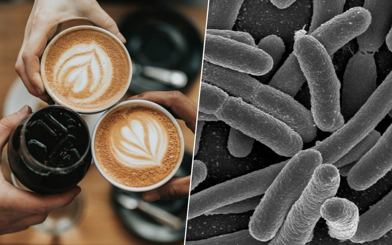Sabíamos que o café fazia bem à saúde, mas agora descobrimos que ele é um grande aliado da nossa microbiota