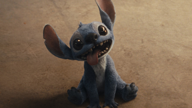 Disney+ em setembro. Saiba as datas das principais estreias