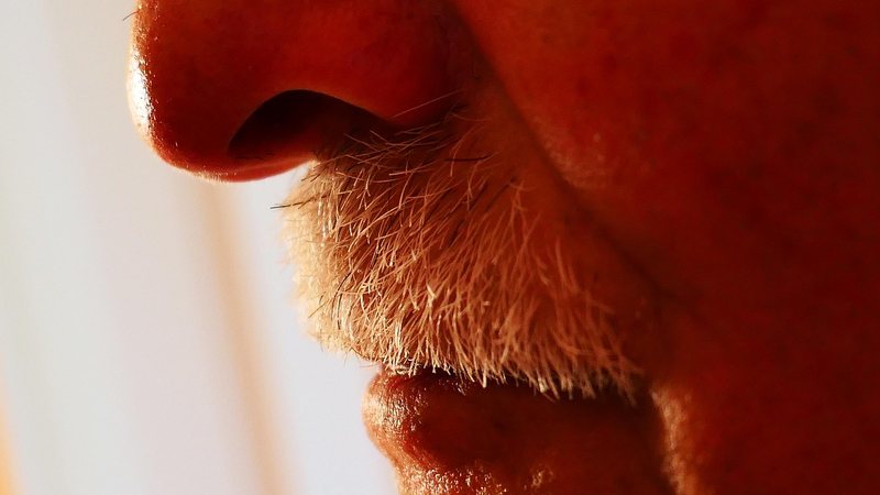 Perda de olfato pode ajudar a identificar casos precoces de Alzheimer, aponta estudo