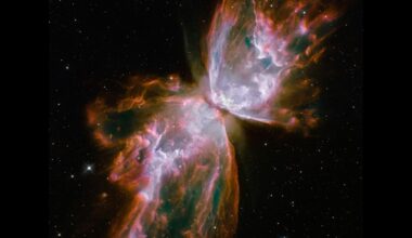 Nebulosa da borboleta