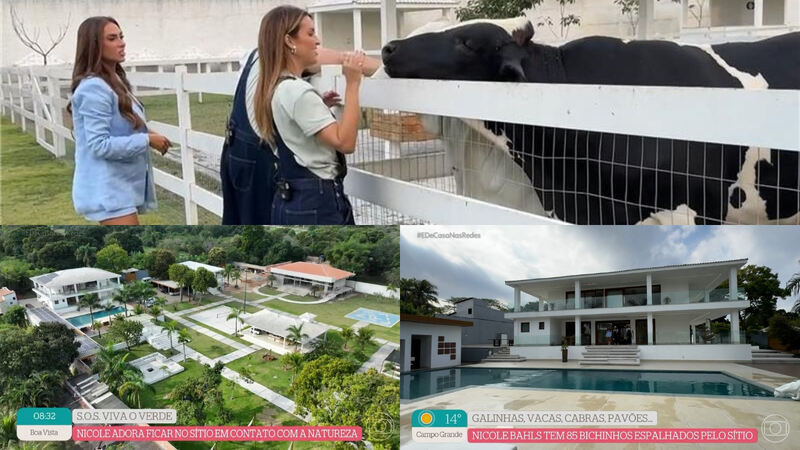 Nicole Bahls explica motivo de ter comprado sítio que conta com mansão, heliponto e 85 animais