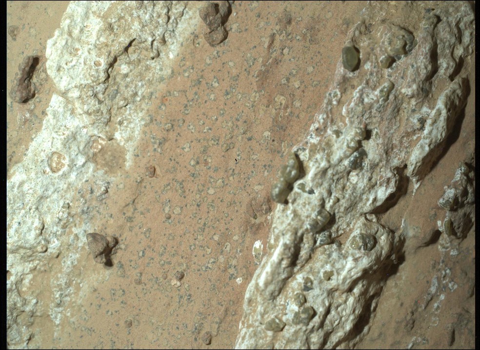 Rochas encontradas em Marte podem ser indício de vida antiga, diz Nasa. — Foto: Divulgação / Nasa