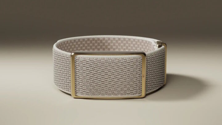 Pulseira de fitness Polar Loop