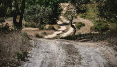 Rally Raid Portugal, Onde ver, dia 28, domingo, Etapa 5, Lisboa / Lisboa – SS5