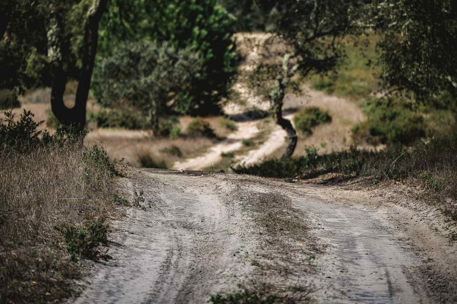 Rally Raid Portugal, Onde ver, dia 28, domingo, Etapa 5, Lisboa / Lisboa – SS5