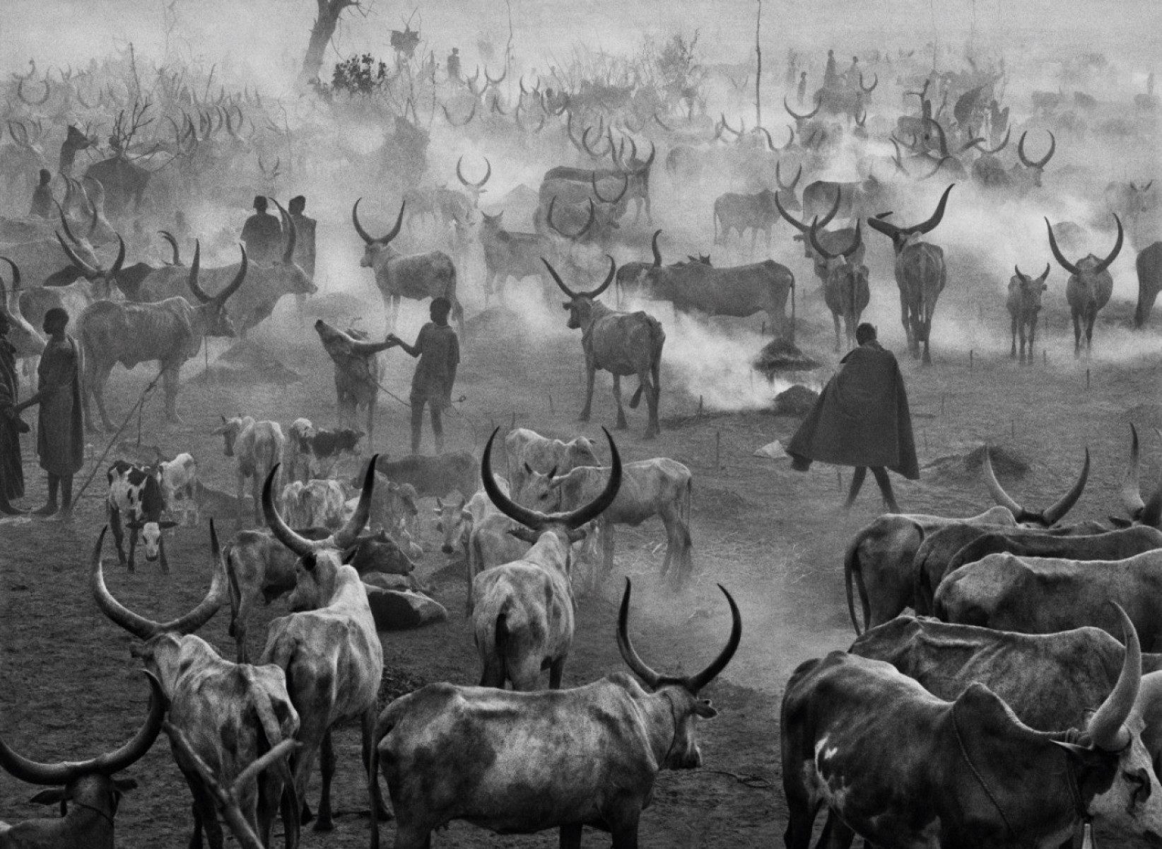 Sudão, 2006-Sebastião Salgado