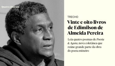 Vinte e oito livros de Edimilson de Almeida Pereira